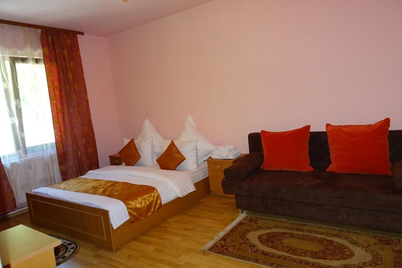 Гостевой дом Pension Cuibul Viselor Бэиле-Еркулане-8